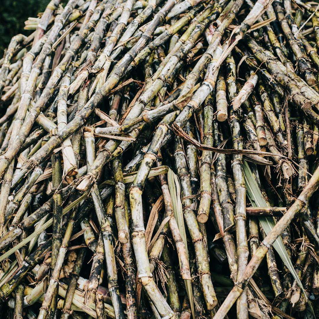 Panipat Sugar Mill